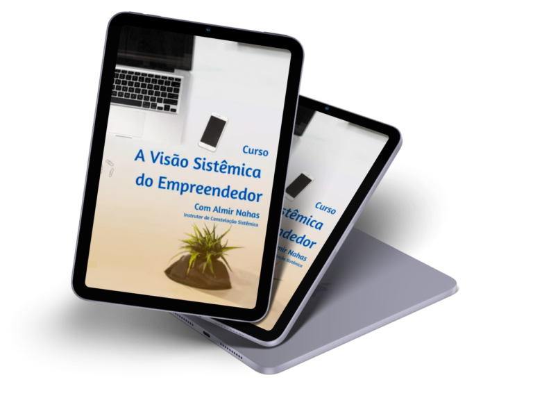 Curso A visão sistêmica do Empreendedor